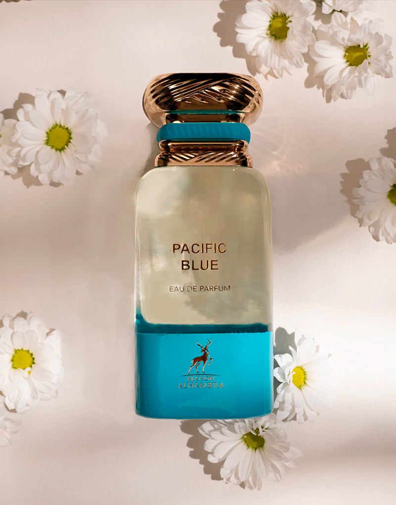 Pacific Blue - vue 3
