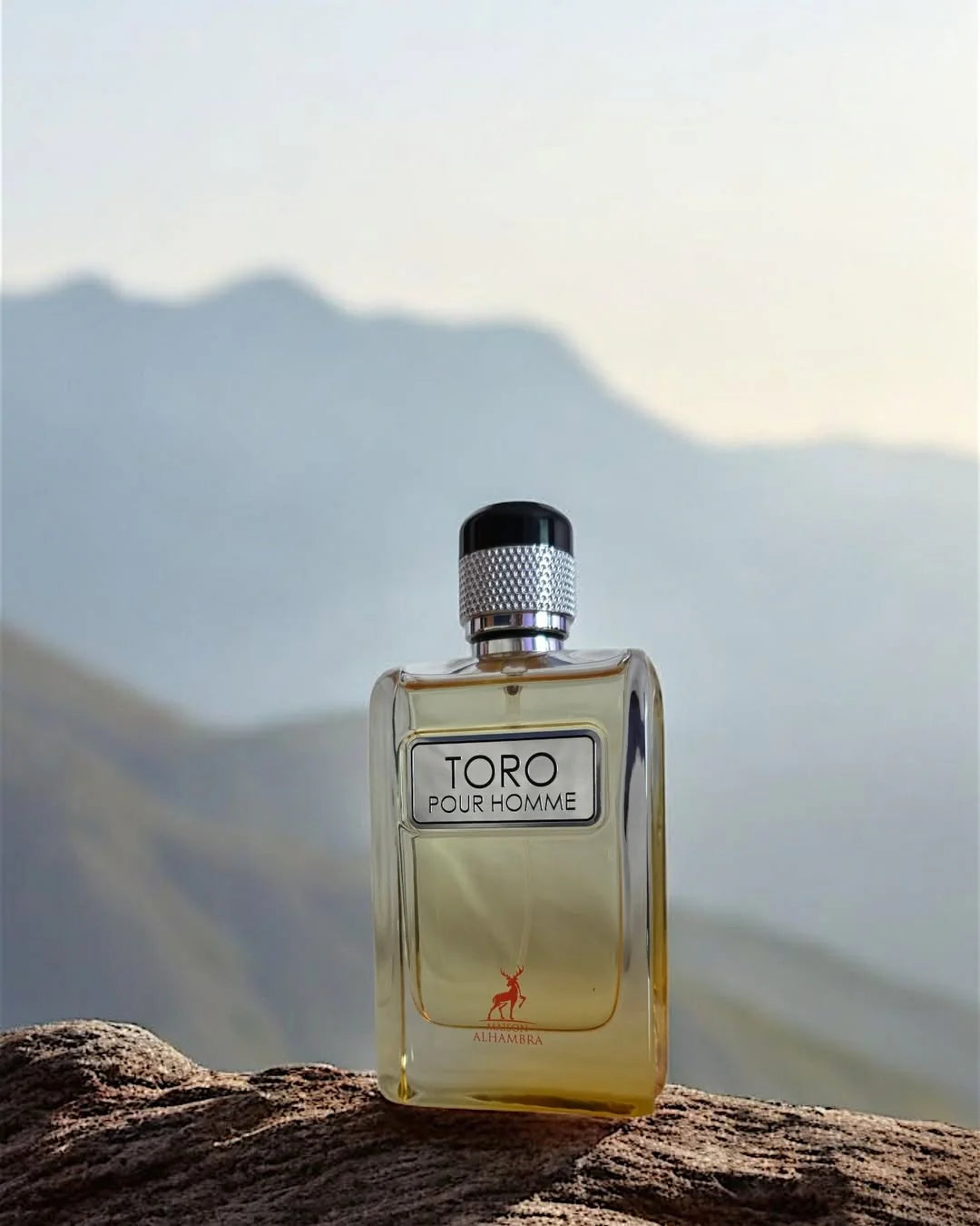 Toro Pour Homme - vue 3
