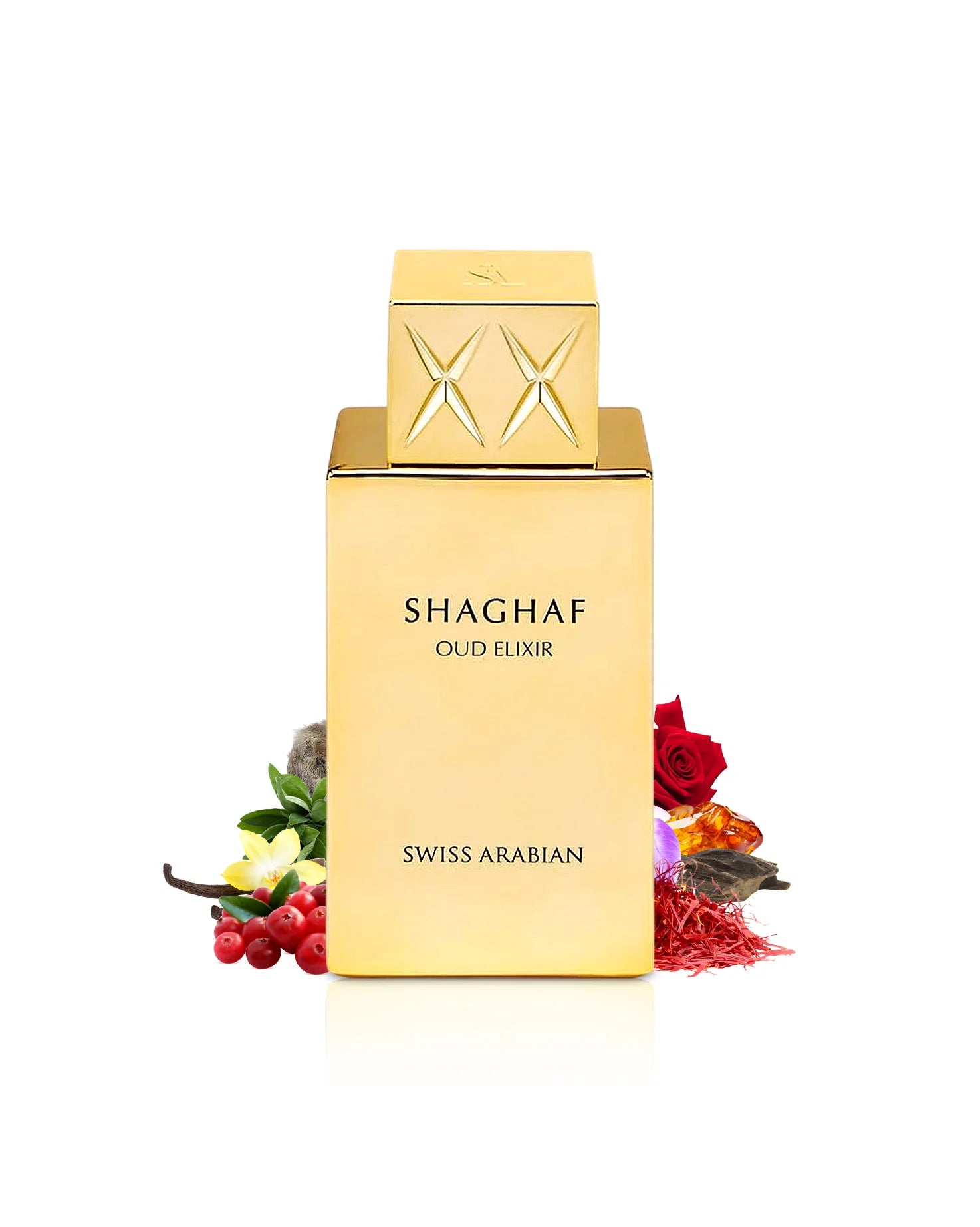 Shaghaf Oud - vue 4