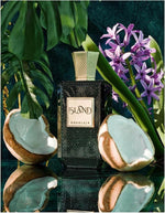 Island - vue 3