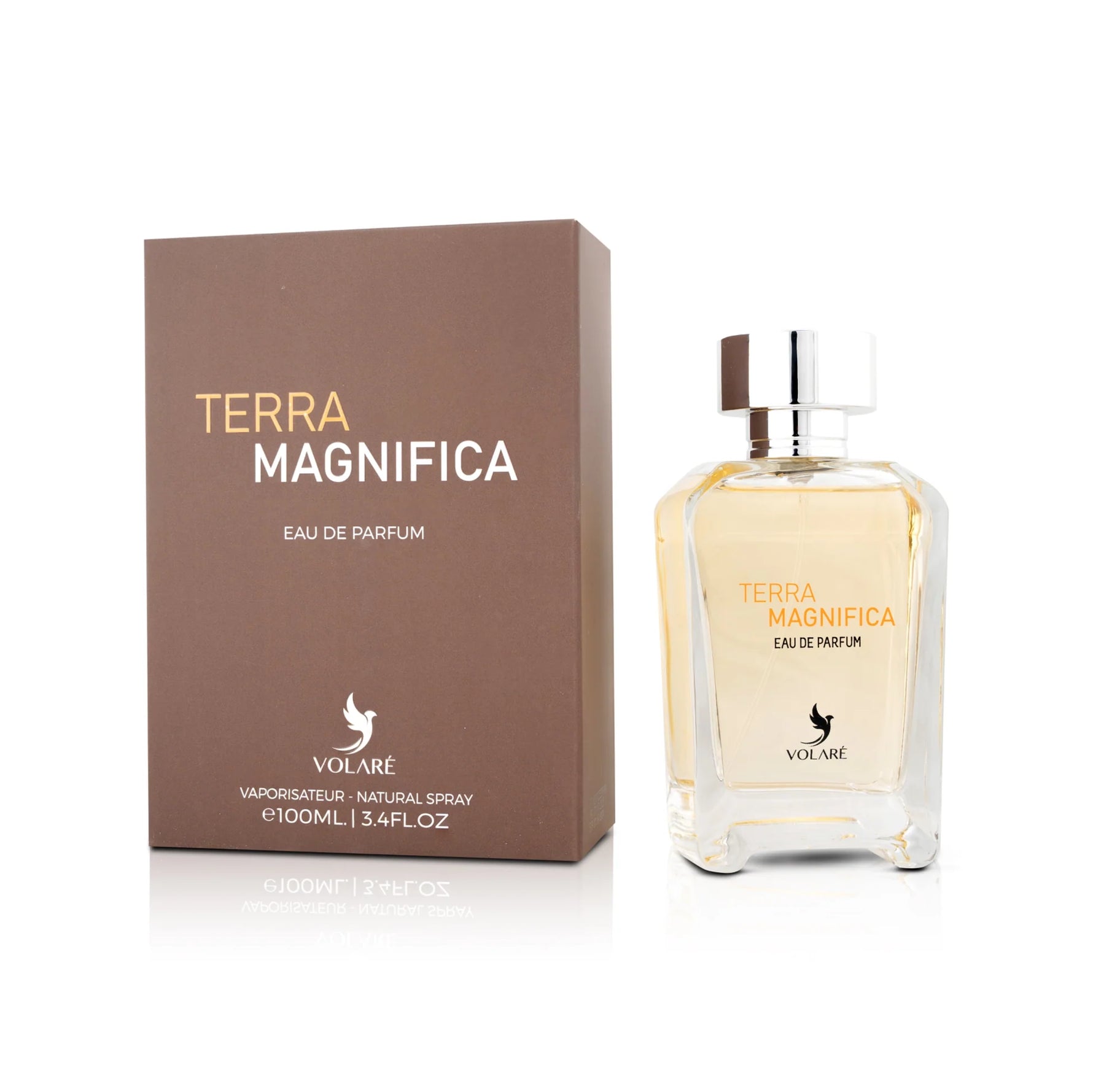 Terra magnifica - vue 2