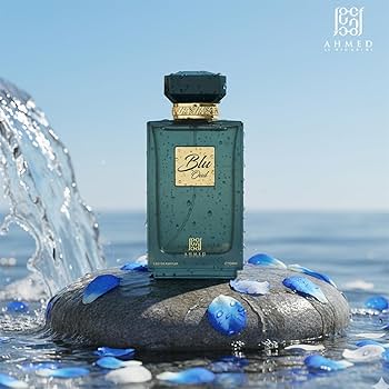 blu oud - vue 3