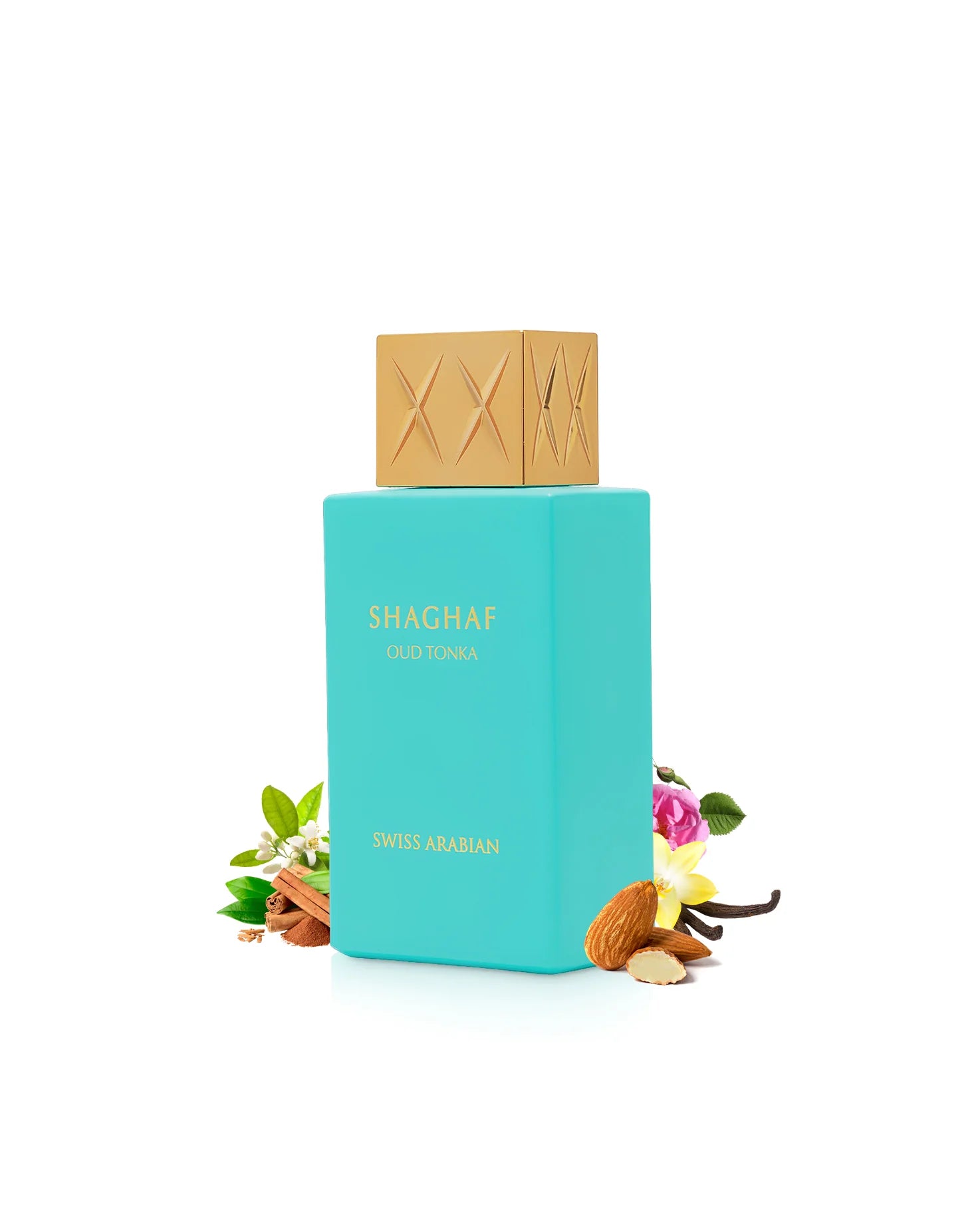 Shaghaf Oud Tonka - vue 4