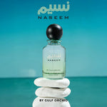 Naseem - vue 3