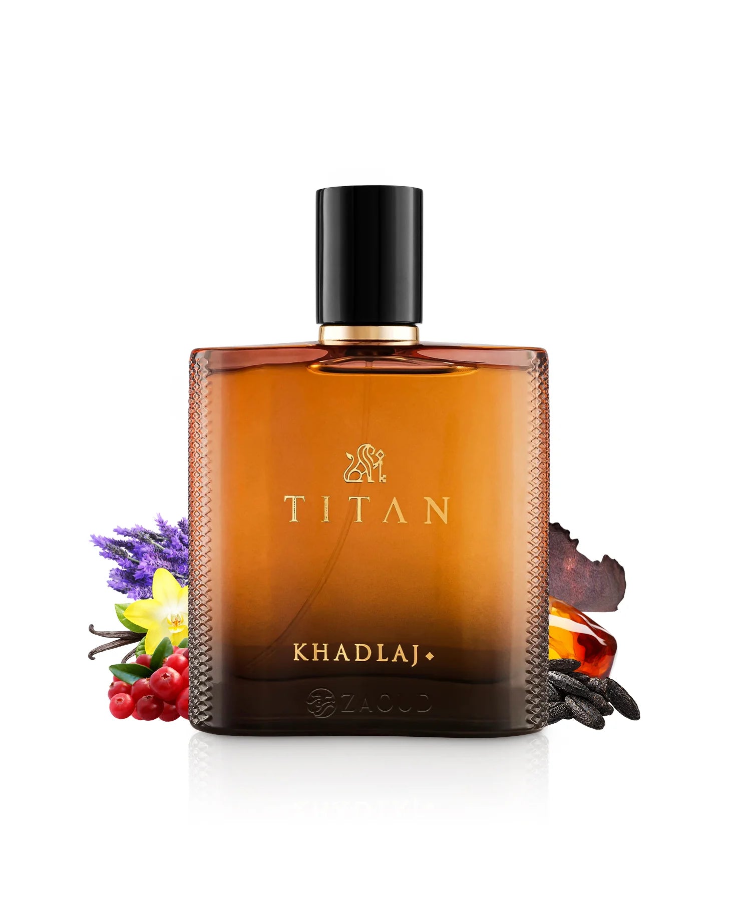 Titan - vue 4