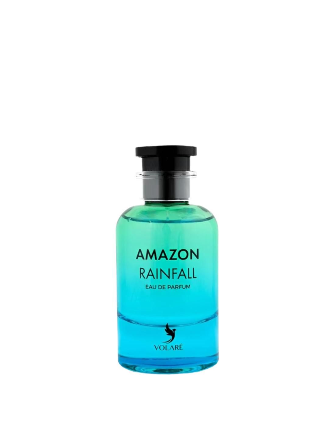 Amazon Rainfall