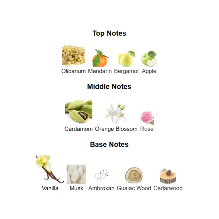 Art Of Nature II - LATTAFA PRIDE 100 ml Lattafa Pride